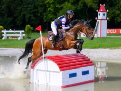 Strzegom Autumn Show – międzynarodowa rywalizacja w Strzegomiu zakończona