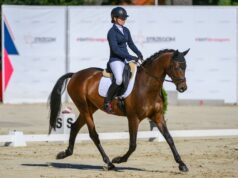 Mistrzostwa Polski Młodych Koni rozpoczęte