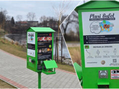 Koalicja na rzecz łabędzi i kaczek. W Świdnicy staną ptasie bufety