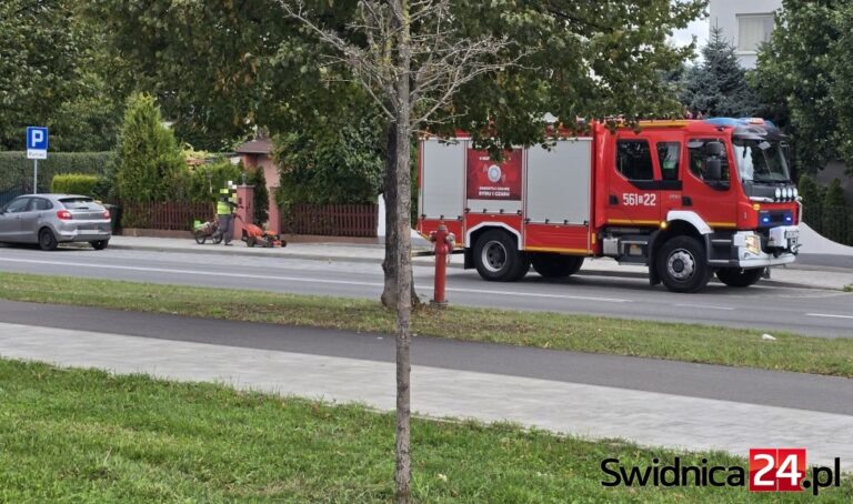 Służby zaalarmowane o niebezpiecznym ładunku