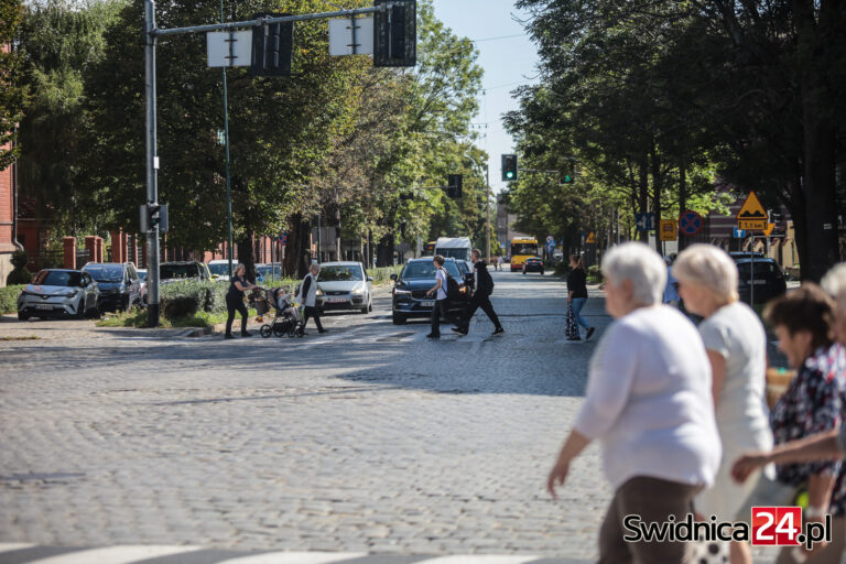 Może ruszać przebudowa kolejnych odcinków Alei Niepodległości. Prace pochłoną blisko 13 mln zł
