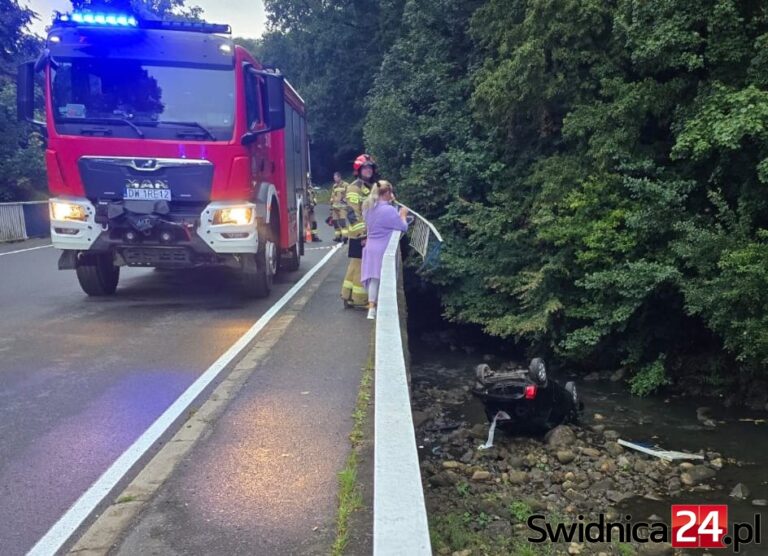 Wpadł do rzeki, grozi mu do 5 lat więzienia
