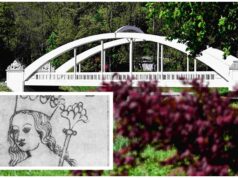 Bieg Piastów Świdnickich o Medal Księżnej Anny w świdnickim Parku Centralnym