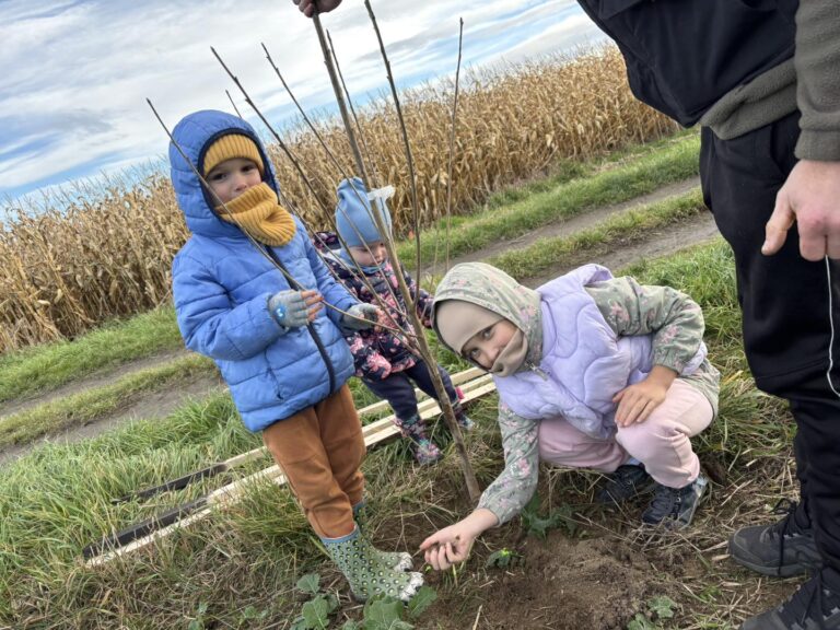 Mieszkańcy Krzczonowa posadzili aleję czereśniową [FOTO]