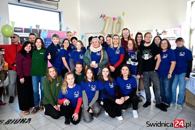 W świdnickim schronisku świętują Dzień Kundelka i jubileusz [FOTO]
