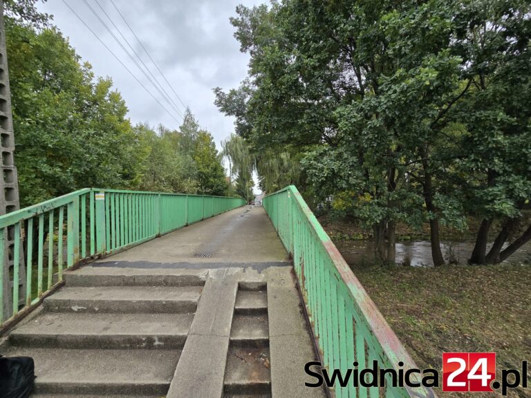 Gałęzie przytną, balustradę za rok pomalują. I to by było na tyle w sprawie kładki nad Bystrzycą