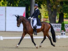 Za nami pierwszy dzień rywalizacji w ramach Strzegom October Festival