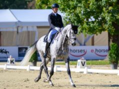 Zakończono konkursy ujeżdżenia