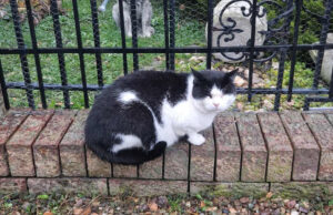 Został w nieczynnym ośrodku wczasowym. Maciuś potrzebuje domu