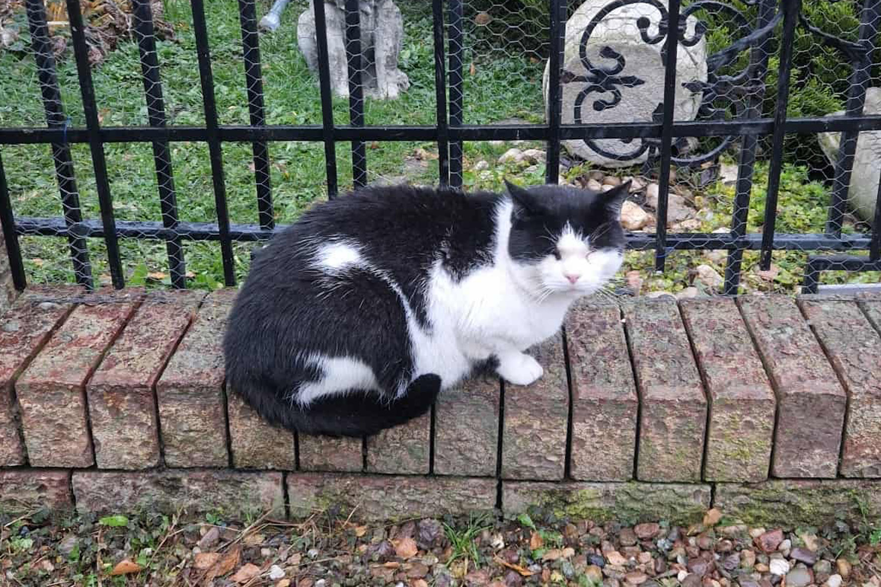 Został w nieczynnym ośrodku wczasowym. Maciuś potrzebuje domu