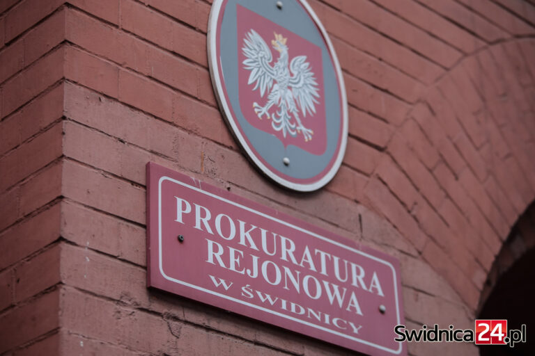 Znęcał się nad partnerką, przez balkon wyrzucił jej zwierzęta. 34-latek został tymczasowo aresztowany