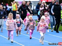 Wracają Świdnickie Czwartki Lekkoatletyczne. Pierwsze wiosenne zawody już za tydzień