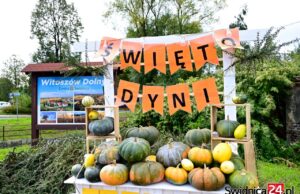 Witoszów Dolny zaprasza na Święto Dyni
