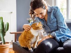 Technologia dla miłośników kotów: aplikacje i strony warte poznania