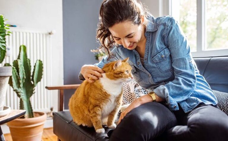 Technologia dla miłośników kotów: aplikacje i strony warte poznania