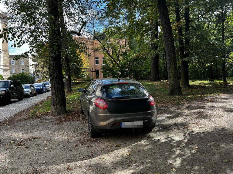 Mistrzowie parkowania [FOTO]