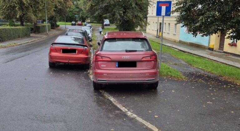 Mistrzowie parkowania [FOTO]
