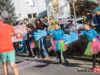 Kibice też powalczą o zwycięstwo podczas 11. Półmaratonu Świdnickiego