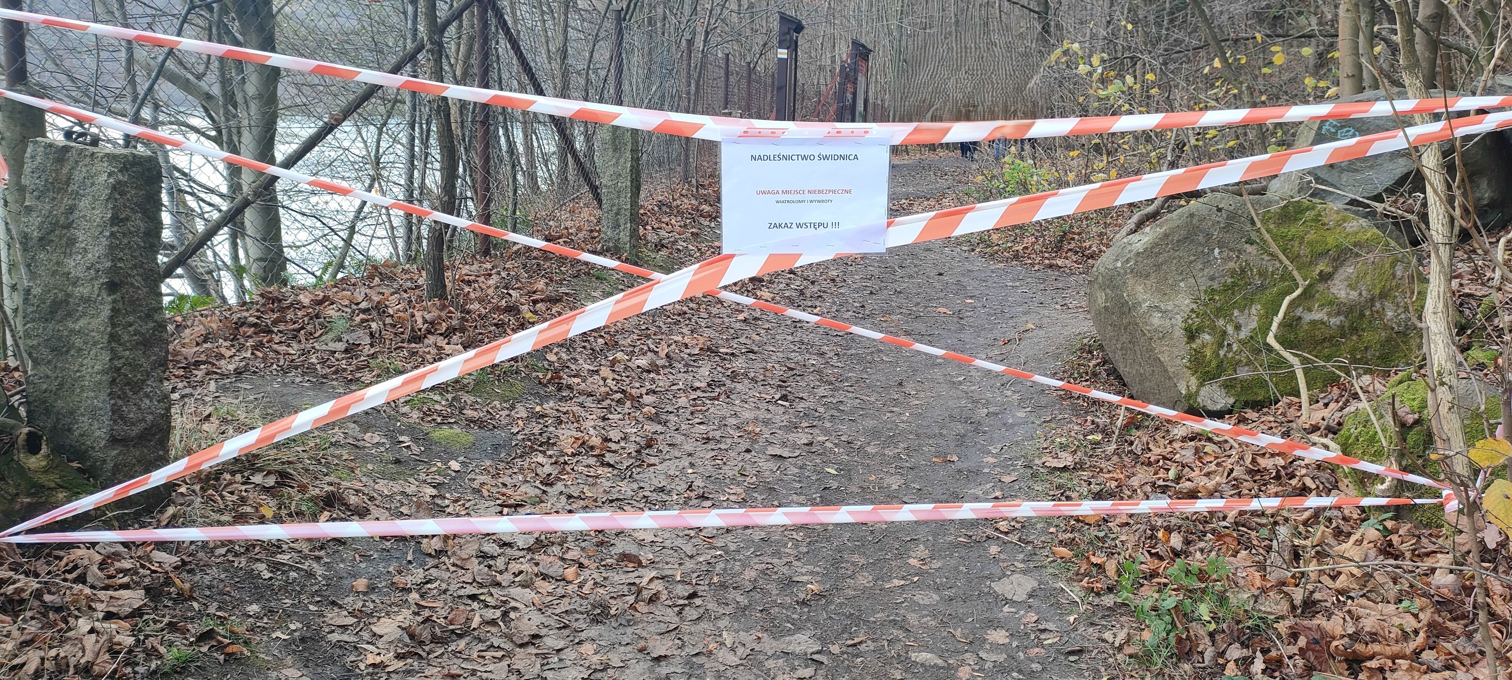 Nadleśnictwo Świdnica zamknęło czasowo ścieżkę nad Jeziorem Bystrzyckim