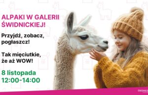 Alpaki zawitają do Galerii Świdnickiej