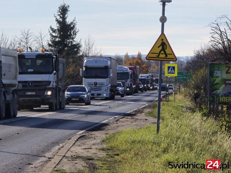 Nie zwolnił, nie hamował. Jest zarzut dla sprawcy śmiertelnego wypadku na przejściu dla pieszych