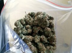 Odpowie przed sądem za posiadanie niedozwolonych substancji