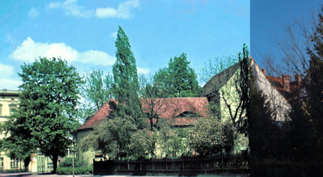 Świdnica wczoraj i dziś. Ulica Muzealna