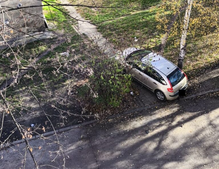 Mistrzowie parkowania [FOTO]