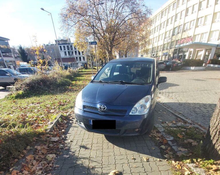 Mistrzowie parkowania [FOTO]