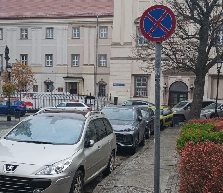 Mistrzowie parkowania [FOTO]