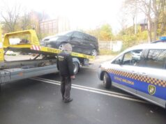 Agresywny nietrzeźwy, jeż wymagający pomocy, picie „pod chmurką”. Interwencje straży miejskiej