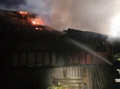 Nocny pożar i dramatyczna akcja ratunkowa zwierząt w Olszanach