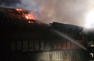 Nocny pożar i dramatyczna akcja ratunkowa zwierząt w Olszanach