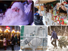 Co? Gdzie? Kiedy? Weekendowy kalendarz wydarzeń