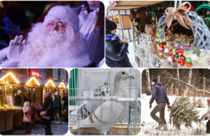 Co? Gdzie? Kiedy? Weekendowy kalendarz wydarzeń