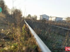 Ostatni pociąg pasażerski jechał tędy 30 lat temu. Jest szansa na rozpoczęcie rewitalizacji