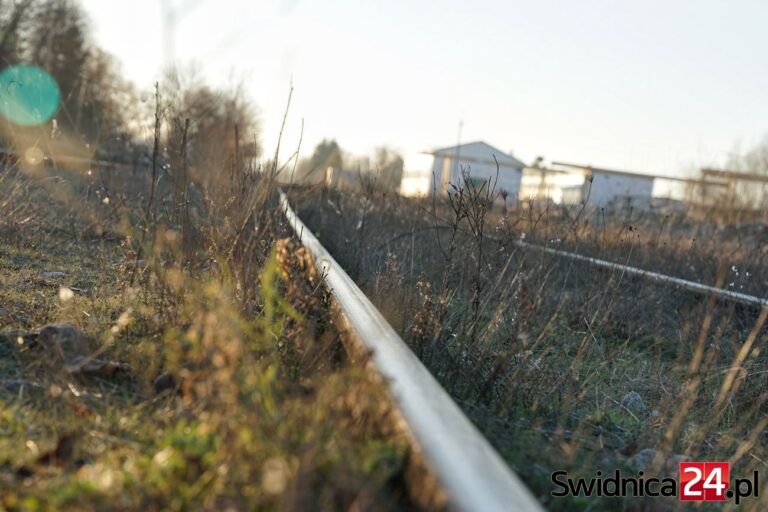 Ostatni pociąg pasażerski jechał tędy 30 lat temu. Jest szansa na rozpoczęcie rewitalizacji