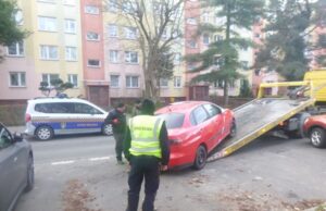 Pies przywiązany do słupa, samochody na trawnikach. Interwencje straży miejskiej