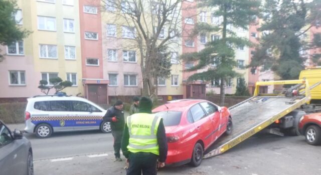 Pies przywiązany do słupa, samochody na trawnikach. Interwencje straży miejskiej
