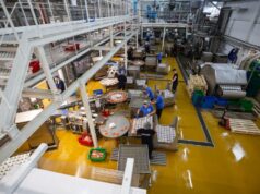 Jak Kormotech kształtuje kulturę prawidłowego żywienia zwierząt domowych