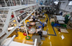 Jak Kormotech kształtuje kulturę prawidłowego żywienia zwierząt domowych