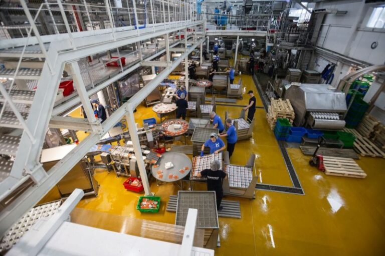 Jak Kormotech kształtuje kulturę prawidłowego żywienia zwierząt domowych