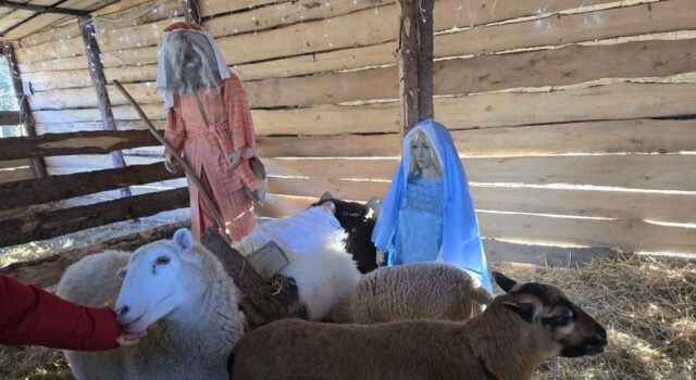 Żywa Szopka w Bojanicach 2025 (24)