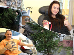 Oddaj krew i odbierz choinkę! Świąteczna akcja leśników i centrów krwiodawstwa