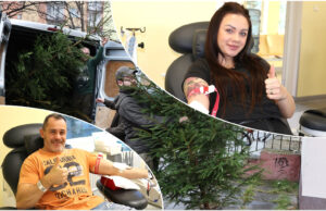 Oddaj krew i odbierz choinkę! Świąteczna akcja leśników i centrów krwiodawstwa