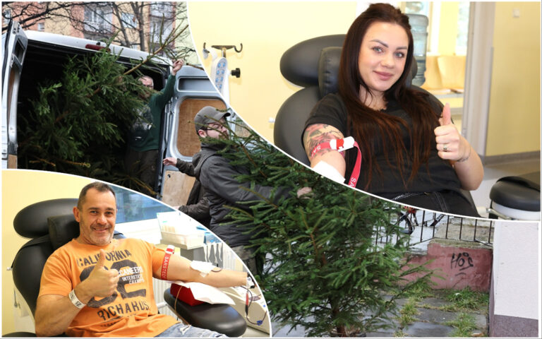 Oddaj krew i odbierz choinkę! Świąteczna akcja leśników i centrów krwiodawstwa
