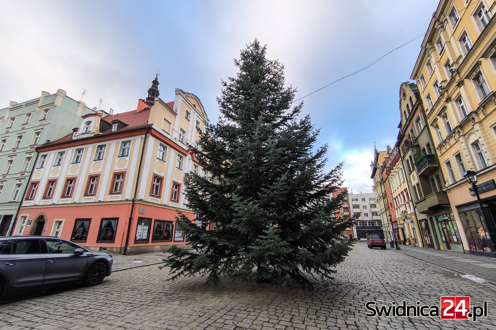 Świdnica stroi się na święta. Ponad 10-metrowa choinka stanęła w Rynku [FOTO]