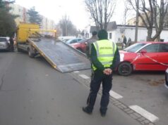 Awanturnik w świdnickiej katedrze, petarda odpalona w sklepie, zabłąkana psinka. Interwencje straży miejskiej