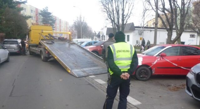 Awanturnik w świdnickiej katedrze, petarda odpalona w sklepie, zabłąkana psinka. Interwencje straży miejskiej