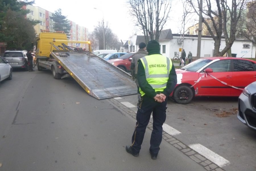 Awanturnik zakłócający mszę w katedrze, petarda odpalona w sklepie, zabłąkana psinka. Interwencje straży miejskiej